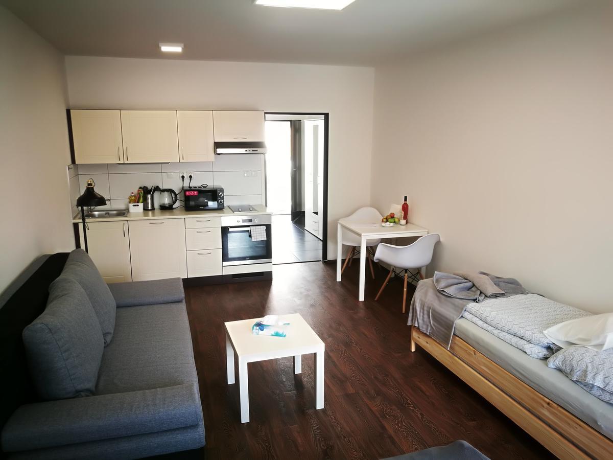 Haas Apartments Downtown With Parking Brno Exterior photo